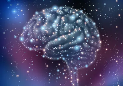 Learn about hot topics in organoid research